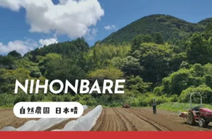 自然農園 日本晴 | 静岡県賀茂郡南伊豆町 | ノカノワ
