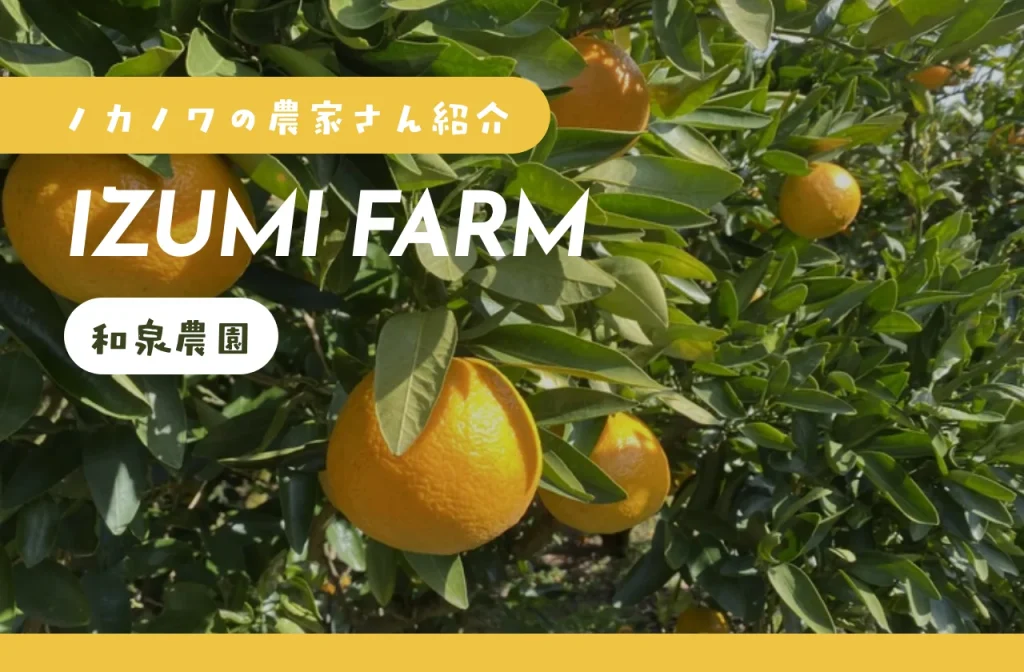 自然栽培 和泉農園 | 愛媛県松山市西谷 | ノカノワ