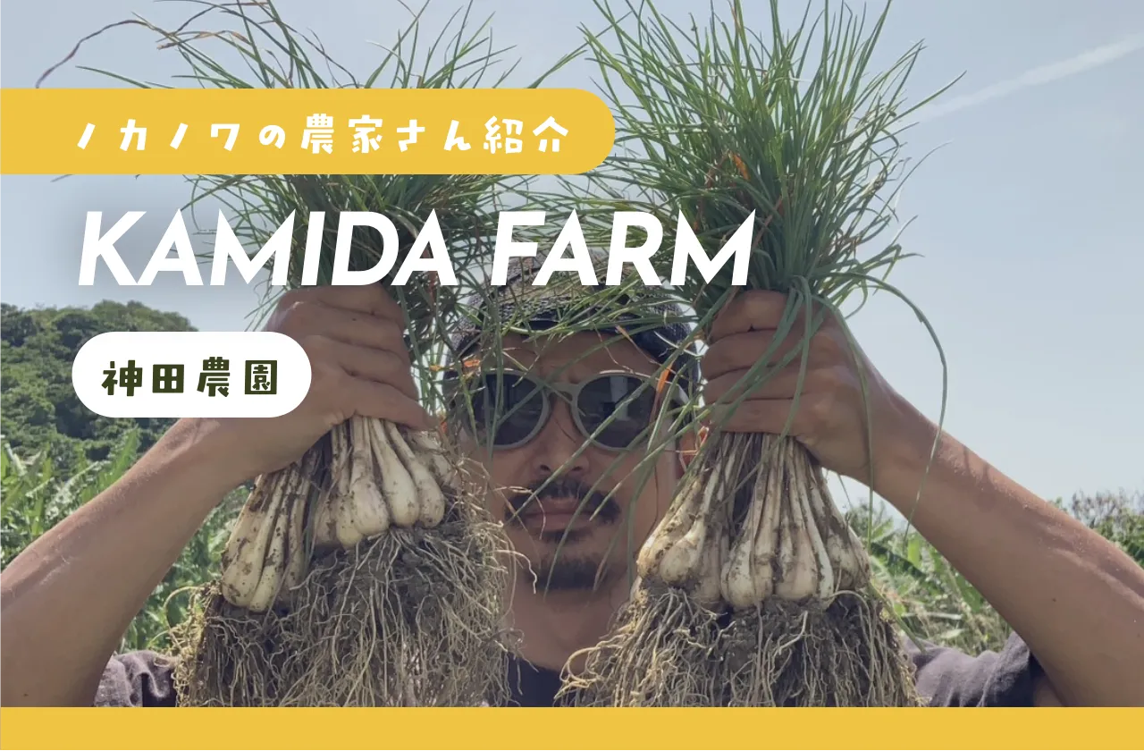 自然栽培 神田農園 | 沖縄県うるま市 | ノカノワ
