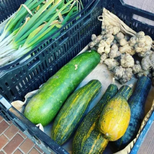 自然農の野菜
