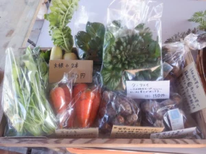 季節のお野菜