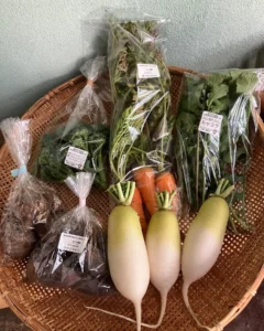 「はるも」のお野菜セット