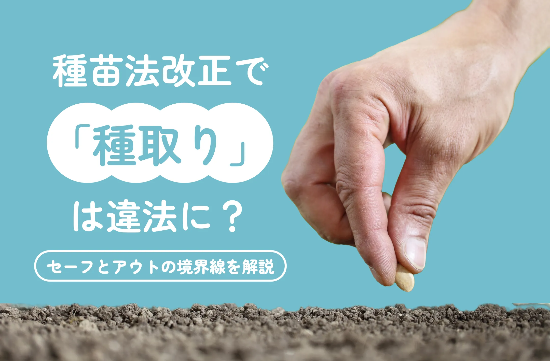 2026年】種苗法改正で「種取り」は違法に？セーフとアウトの境界線を
